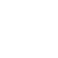 Dynacord