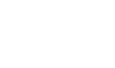 BSS by Harman