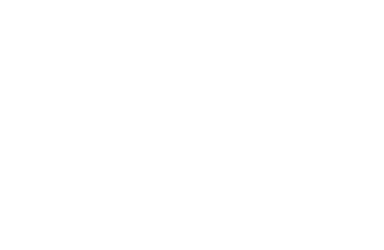 Chauvet Professional